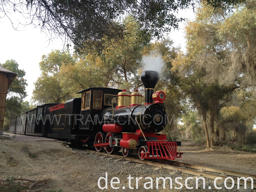 sightseeing trains in forest